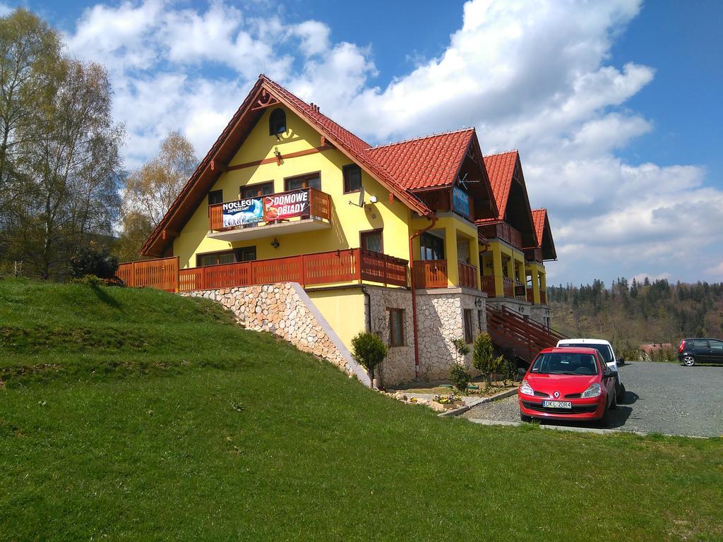 Pensjonat Zielone Wzgorze Boleslawow Stronie Slaskie Exterior photo